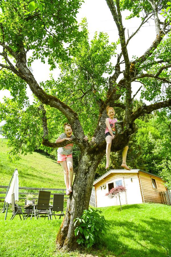 Kendlhof Appartement Sankt Johann im Pongau Buitenkant foto