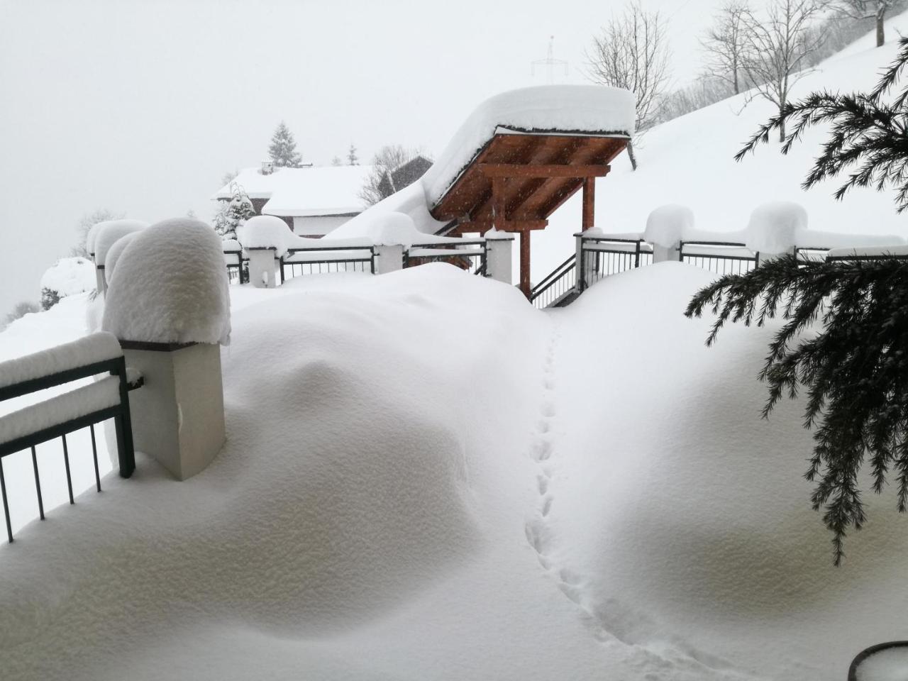 Kendlhof Appartement Sankt Johann im Pongau Buitenkant foto