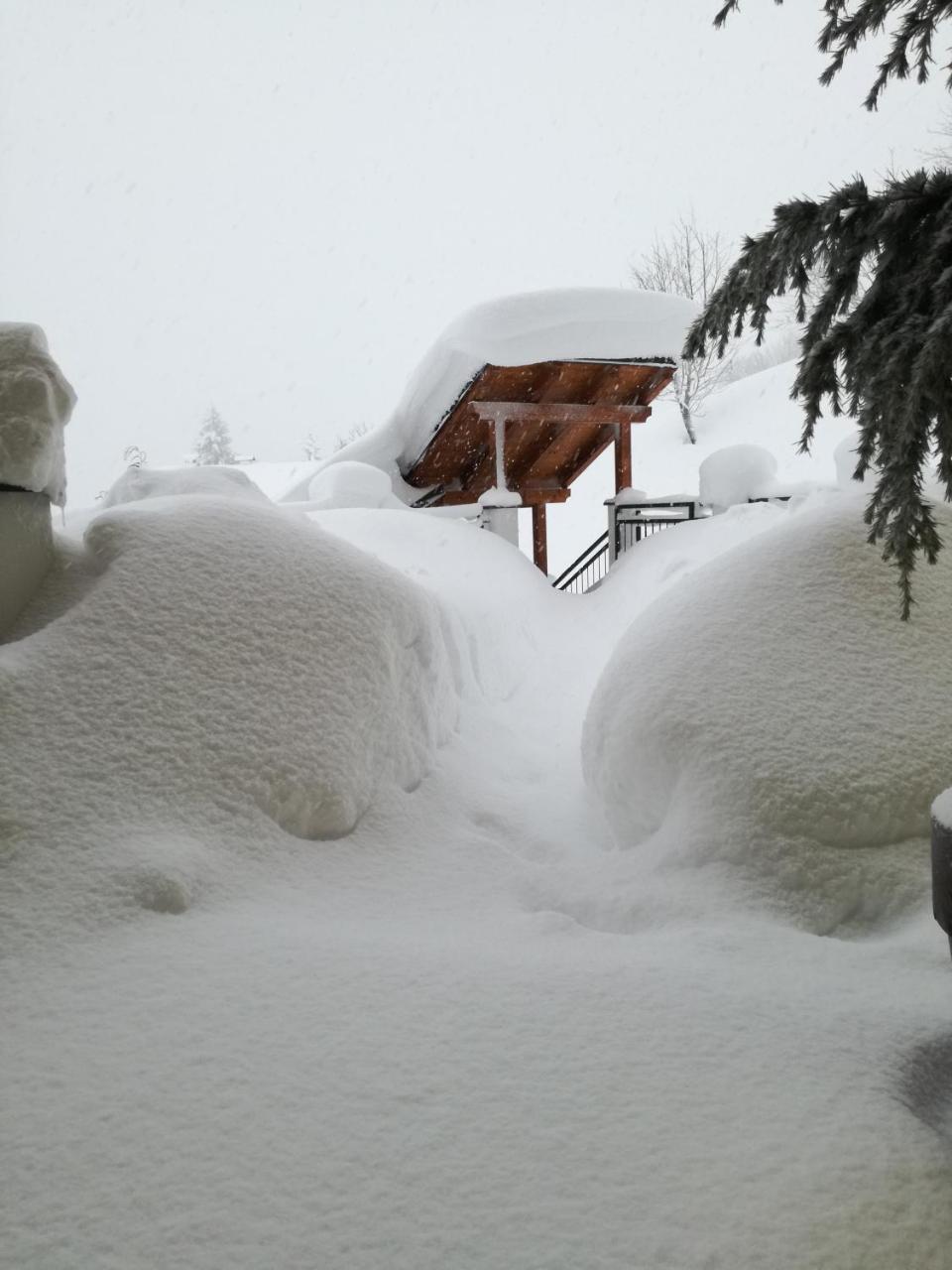 Kendlhof Appartement Sankt Johann im Pongau Buitenkant foto